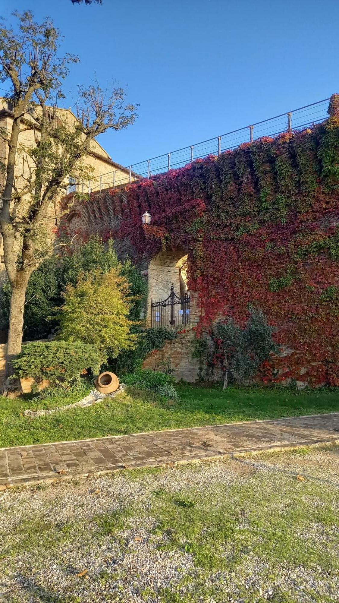 Appartement Novecento à Bertinoro Extérieur photo